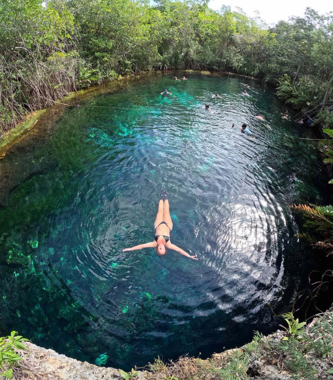 Swimmer floating in a clear open cenote ringed by mangroves