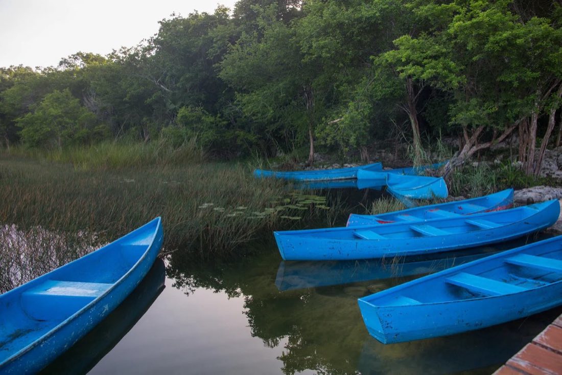 Blue wooden canoes moored on a calm jungle lagoon