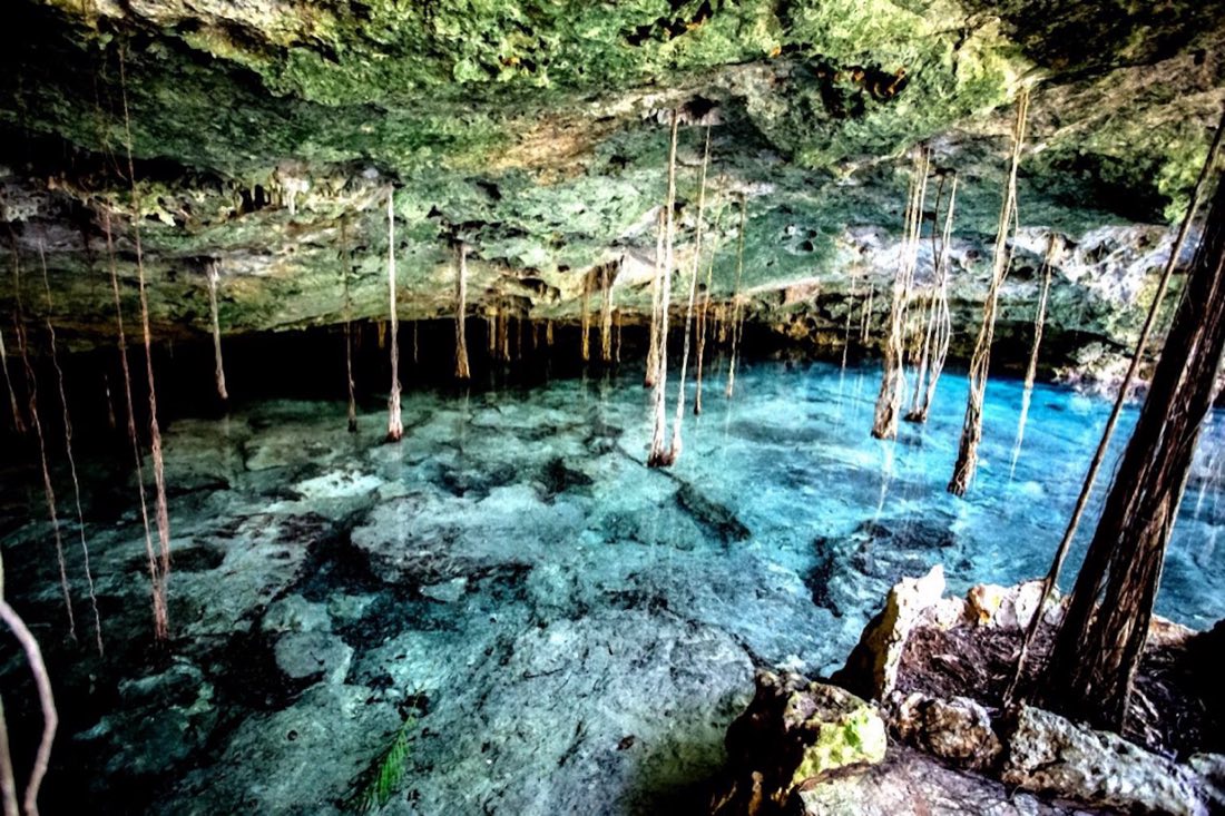 Roots hanging over clear turquoise water inside a cave cenote