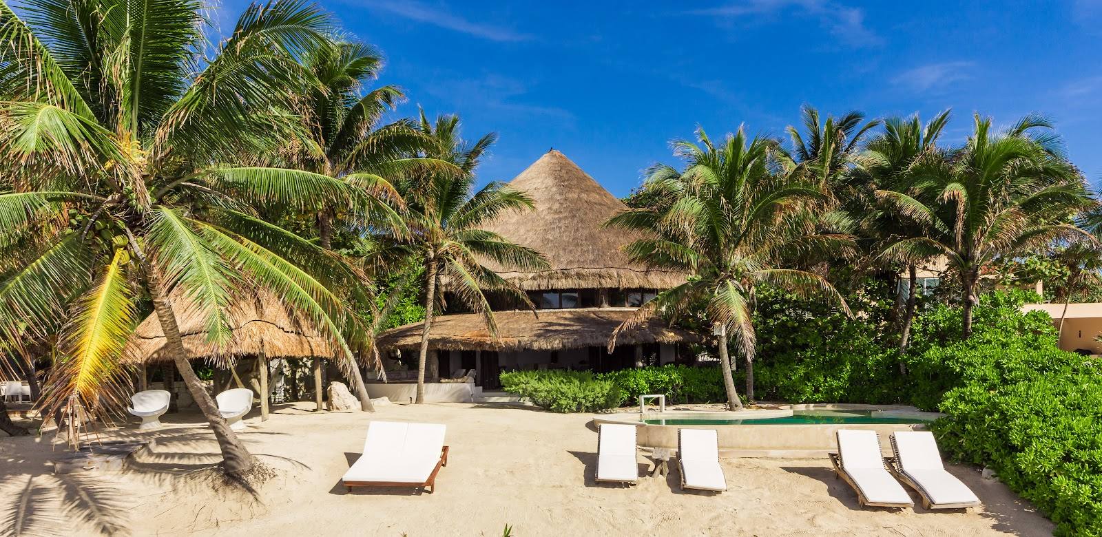 The villa and its palapa among palms, on the beach