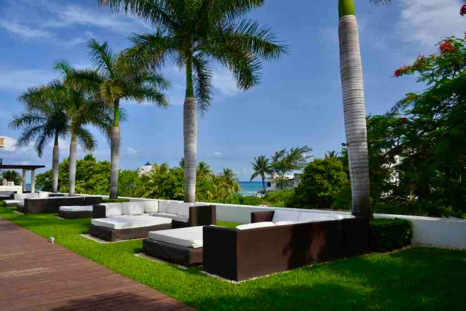 Garden lounge with palm trees and a glimpse of the sea